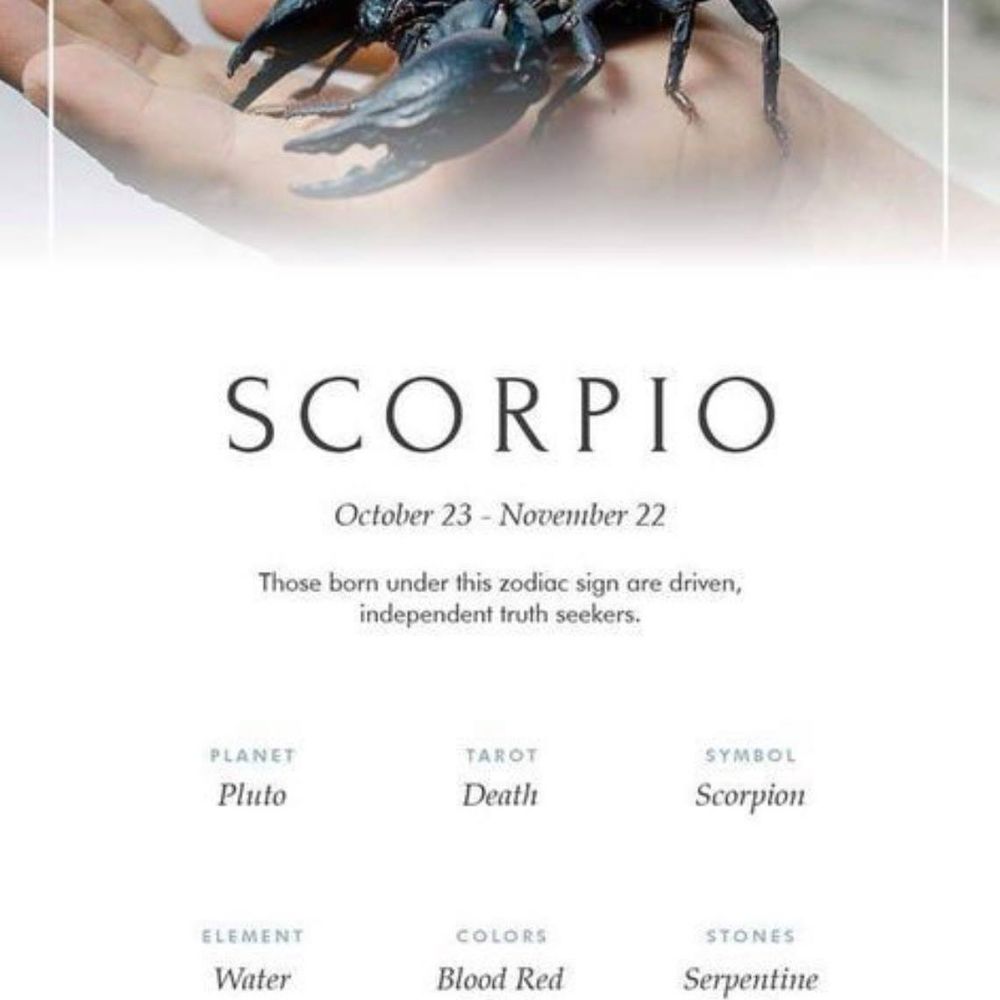 Meet your Posher, Yusniel